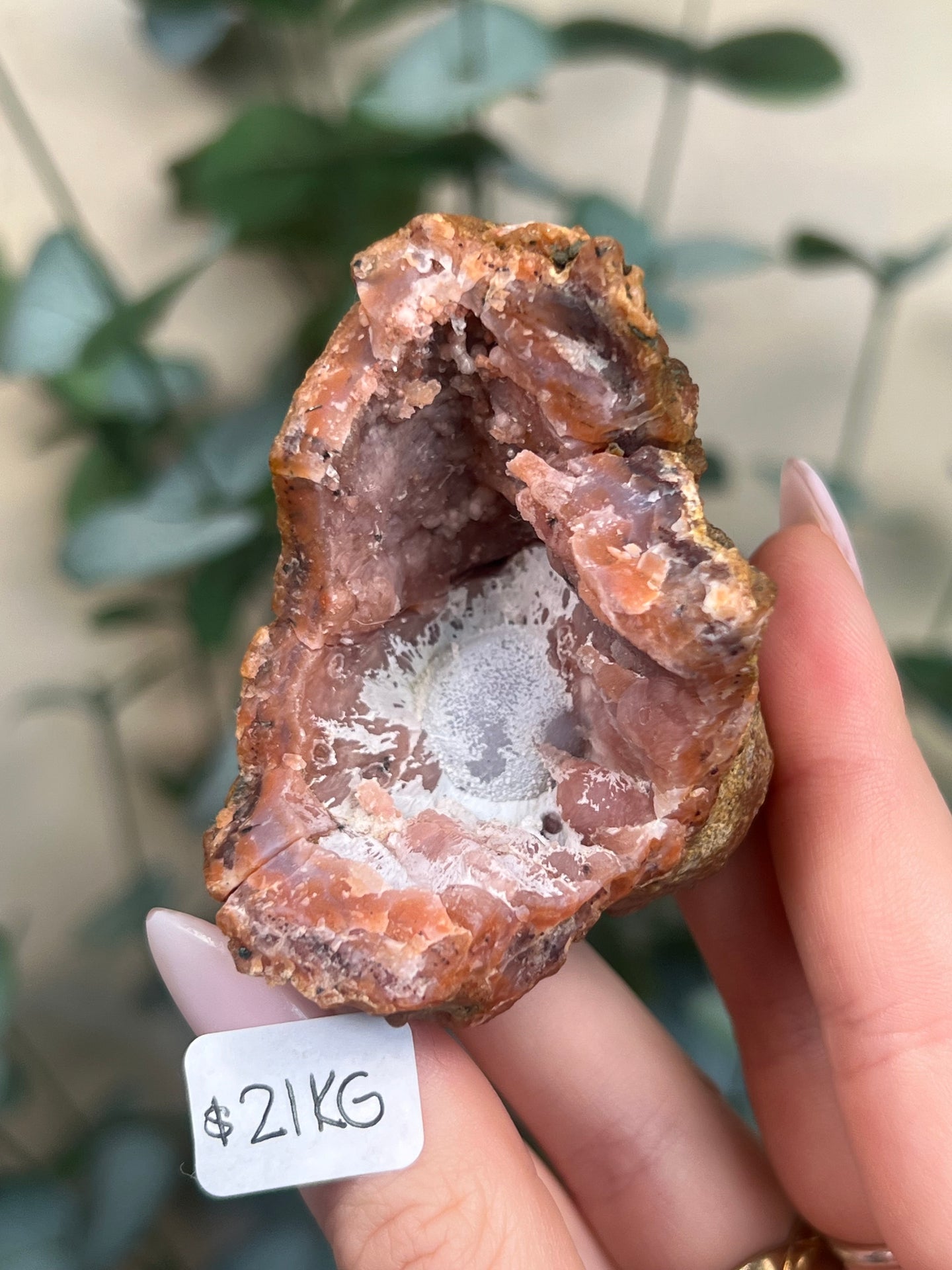 Pink Chalcedony Geodes (8 options)